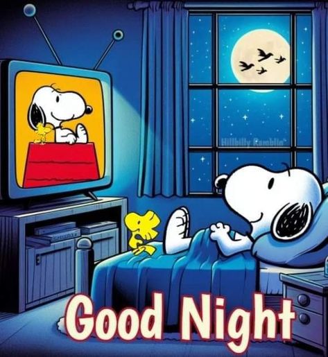 Snoopy Good Night, Good Night Snoopy, Snoopy Friday, Goodnight Snoopy, Good Night Blessings Quotes, Goodnight Quotes Inspirational, Good Evening Messages, Lovely Good Night, Snoopy Images