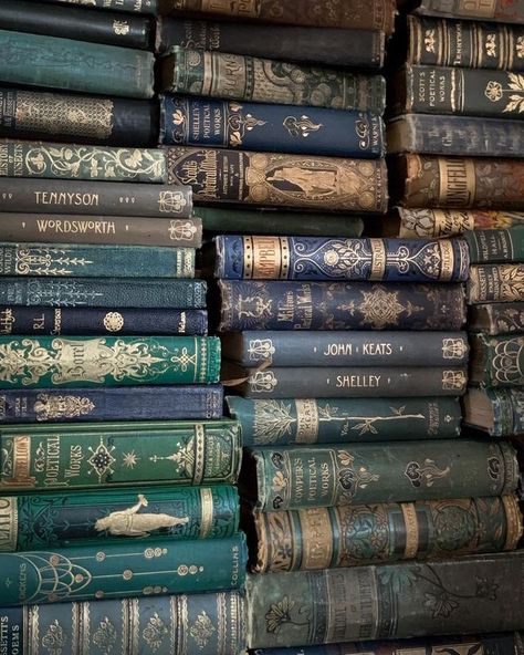 Antique Library, Library Aesthetic, Book Spine, Vintage Library, Vintage Book Covers, Throne Of Glass, Arte Fantasy, Book Shelf, Old Books