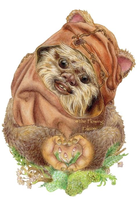 Wicket the Ewok Art Star Wars Ewok Art, Ewok Art, Ewoks Star Wars, Cute Star Wars, Star Wars Ewok, Return Of The Jedi, Cute Star, Overland Park, Cute Stars