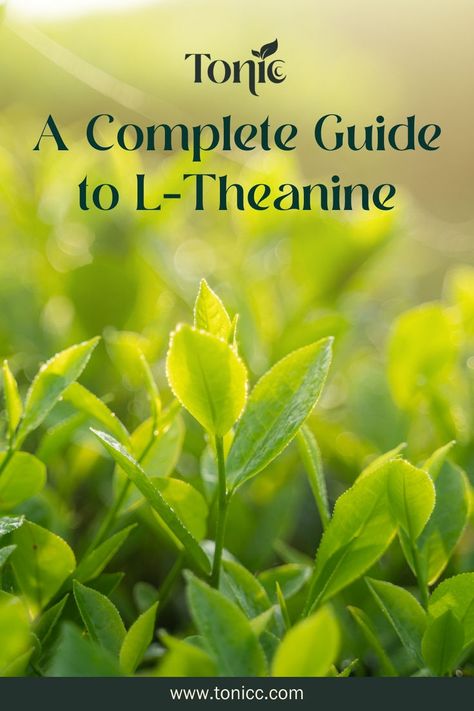 Daily,vitality, energy, stress, focus, tonicc,coffee,morning,health,pump,boost,beverage,fatigue,brain,caffeine,l-theanine,
Rhodiola,routine,supplement,vitamin,wellness,energized,rosea,eco-friendly,effective
,enhance,fitness L Theanine, Wellness Inspiration, Wellness Routine, Amino Acid, Amino Acids, Relaxation, Benefits