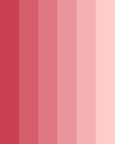 Flirty Red Monochromatic Pink Color Palate, Color Palette Pinks And Reds, Pink To Red Color Palette, Red Pink Color, Color Red Palette, Cute Pink Color Palette, Monochromatic Colour, Pink And Red Color Scheme, Color Schemes Pink