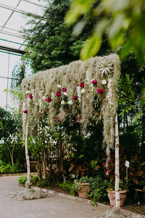 Hanging air plants, Spanish moss, and lush blooms create a stunning backdrop for your nuptials and photos #florals #weddingdecor #Horticultural Spanish Moss Wedding Arch, Moss Photo Backdrop, Spanish Moss Wedding Decor, Spanish Moss Decor Ideas, Spanish Moss Decor, Moss Backdrop, Moss Decor Ideas, Moss Centerpiece Wedding, Hanging Spanish Moss