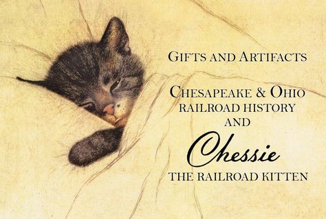 Railroad History and Chessie the Railroad Kitten Chessie Cat, Railroad History, Cat Ideas, The C, Cat Stuff, Vintage Cat, Historical Society, Artifacts, Funny Stuff