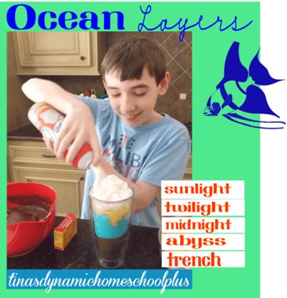 100 Hands on Activities for Middle Schoolers. Ocean Unit Study, Ocean Layers, Layers Of The Ocean, Ocean Zones, Elementary Homeschool, Ocean Unit, Ocean Activities, 5 Oceans, Youth Leader