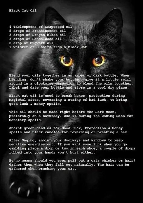 Black Cat Oil Recipe, Spells With Cat Whiskers, Cat Whiskers Witchcraft, Cats Witchcraft, Black Cat Oil, Magick Oil, Hoodoo Spells, Cat Magic, Cat Spirit