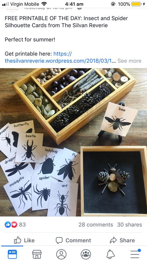 Bugs And Insects Preschool Reggio, Bugs Provocation, Insect Provocations Preschool, Bug Provocation, Bug Provocations Preschool, Eyfs Minibeasts Activities, Insect Provocations, Insect Dramatic Play, Minibeasts Eyfs Activities