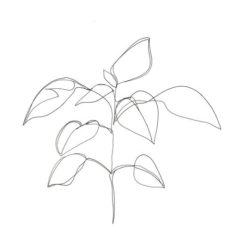 One line minimal artwork - plants and leaves - minimalist line drawing.Instagram - @thecolourstudyEtsy - https://www.etsy.com/uk/shop/TheColourStudyShop?ref=seller-platform-mcnav Line Drawing Plant, Watch Drawing, Minimal Drawings, Single Line Drawing, Minimalist Drawing, Simple Line Drawings, Illustration Botanique, Continuous Line Drawing, Art Minimaliste