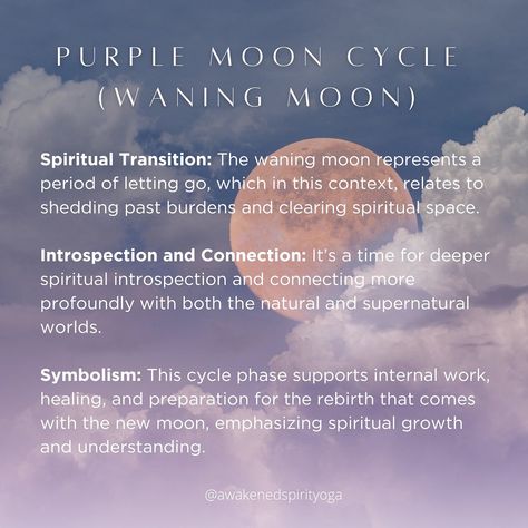 In honor of the new moon 🌙♍️ the cycles of our bodies mirror the cycles of the earth 🪞🌎it's alllll connected. Which moon cycle are you in sync or closest with right now? Understanding these alignments can offer insightful perspectives into how natural rhythms potentially influence emotional, physical, and spiritual well-being. This is an interesting concept that you could incorporate into one of your prenatal/postnatal yoga classes or doula work! 🩵 ✨✨PS don't forget about 20% off tuition... Moon And Period Cycles, Purple Moon Cycle Period, Pink Moon Cycle, Purple Moon Cycle, Red Moon Cycle, Crystal Facts, Period Tips, Period Cycle, Postnatal Yoga