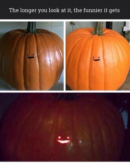 This made me laugh. I don't know why or how. Like that one friend who can keep a straight face FOREVER and it's somehow so funny... Funny Halloween Memes, Halloween Meme, Funny Cute Memes, Halloween Memes, Pumpkin Carving Ideas, Happy October, Carving Ideas, Fresh Memes, Funny Picture Quotes