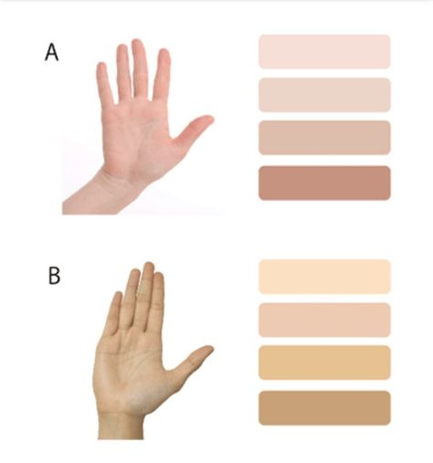 Warm Skin Tone Colors, Color Analysis Test, Skin Tone Makeup, White Skin Tone, Skin Care Basics, Skin Undertones, Olive Skin Tone, Makeup Secret, Warm Skin Tone