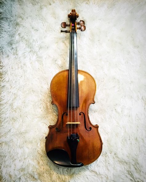 #violin #music #musician #stradivarius ##model #string  #art #artist #photography Stradivarius Violin, Violin Strings, Artist Photography, Violin Music, String Art, Violin, Art Artist, Musician, Music Instruments