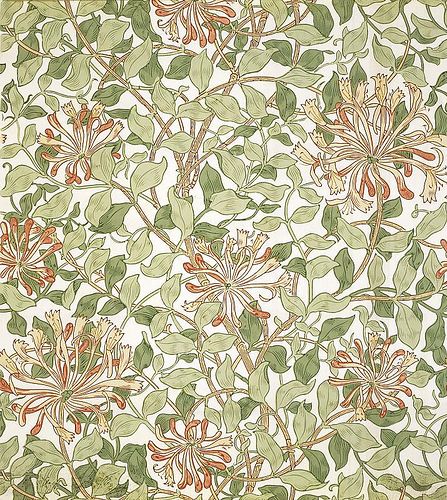 honeysuckle wallpaper Honeysuckle Painting, Honeysuckle Wallpaper, Honeysuckle Design, William Morris Wallpaper, Wallpaper Light, William Morris Art, William Morris Designs, Flower Tile, Design Painting