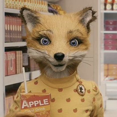 Fantastic Mr Fox, Mr Fox, Meryl Streep, Apples, Fox, Film, Books