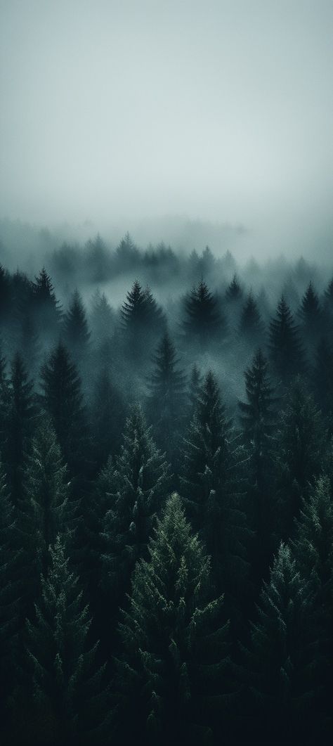 Tablet Screensaver Screen Wallpaper, Dark Scenery Wallpaper, Dark Moody Wallpaper Iphone, Dark Green Forest Wallpaper, Moody Wallpaper Iphone, Winter Forest Aesthetic, Iphone Dark Theme, Dark Moody Wallpaper, Winter Forest Wallpaper