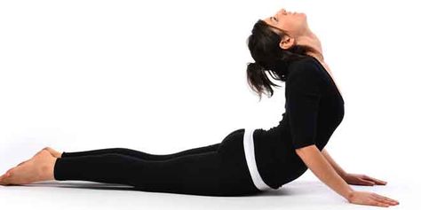 The Cobra Yoga Pose is very relaxing for the mind. This pose is a gateway towards a relaxed mind and it greatly helps to tone your muscles, and has many benefits. Bhujangasana Pose, Yoga Posses, Yoga For Seniors, Muscle Abdominal, Cobra Pose, Trening Fitness, Easy Yoga Poses, Yoga Posen, Yoga Positions