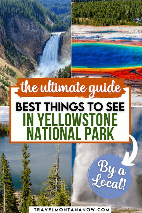 Experience the wonders of Yellowstone National Park with this guide to its must-see attractions! From the iconic Old Faithful geyser and the vibrant colors of Grand Prismatic Spring to the dramatic landscapes of the Grand Canyon of the Yellowstone, this guide highlights the park’s most breathtaking sights. Travel To Yellowstone National Park, Yellowstone National Park Geyser, Yellowstone National Park Guided Tours, Things To Do At Yellowstone National Park, Yellowstone Must See, Yellowstone National Park With Kids, Visiting Yellowstone National Park, Yellowstone Vacation Planning, Yellowstone Hikes