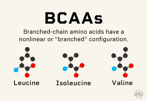 Branched-chain amino acids (BCAAs) are essential amino acids. They’re necessary for building muscle and recovering from exercise. And unlike some aminos, you must obtain BCAAs from the food you eat—your body cannot make them by itself. Read our blog to discover what branched-chain amino acids are, 5 reasons you might want to take them, and the best times to take BCAAs according to science. Essential And Non Essential Amino Acids, Amino Acids Benefits, Amino Acids Supplements, Structure Of Amino Acids, Classification Of Amino Acids, Biochemistry Amino Acids, Powder Supplements, What Is Science, Fitness And Health