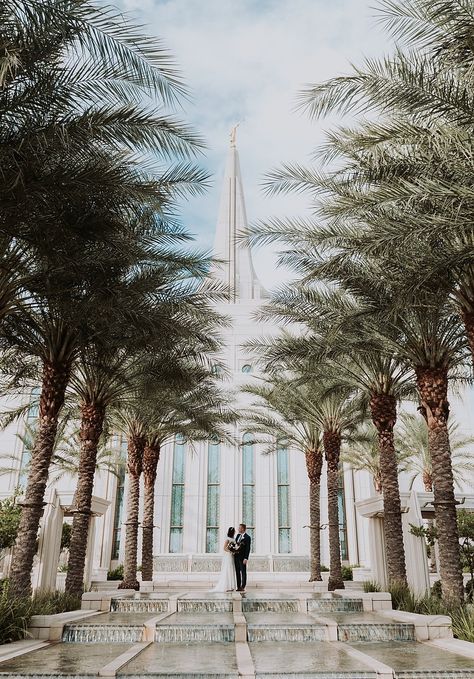 Palm Tree Pics, Red Wedding Colors, Laughter Photography, Lds Weddings Reception, Gilbert Arizona Temple, Temple Wedding Pictures, Gilbert Temple, Temple Wedding Photos, Palm Tree Wedding