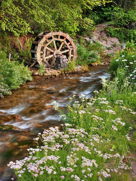 water wheels in utah - Google Search Wind Mills, Best Western Hotel, Water Mill, Water Wheel, Salt Lake City Utah, Old Barns, Royce, Country Life, Garden Bridge