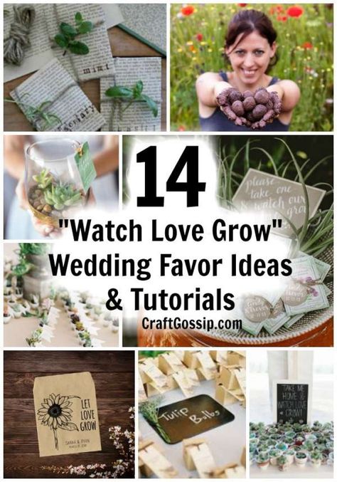 Terrarium Wedding Favor, Wedding Favor Sayings, Bridal Emergency Kits, Wedding Flavors, Plant Wedding Favors, Seeds Gifts, Hunting Wedding, Terrarium Wedding, Summer Wedding Diy