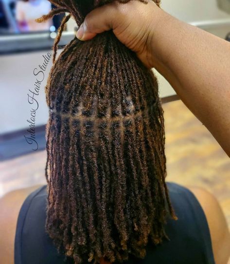 Micro Braids Styles, Short Locs Hairstyles, Dreadlock Style, Dreadlock Styles, Hairstyles For Layered Hair, Dread Hairstyles, Curly Hair Women, Natural Hair Styles Easy, Locs Hairstyles