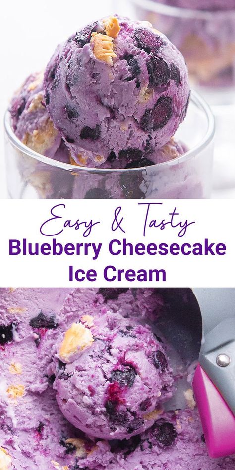 A Blueberry Cheesecake Ice Cream for a delightful treat in every spoon. Fresh blueberry in a mix of creamy cheesecake and graham crackers will cool off your day. Easy to try, you won’t make this decadent ice cream once. Ice Cream Mix Ins, Cream Cheese Ice Cream Recipe, Blueberry Cheesecake Ice Cream, Lemon Tiramisu, Ice Cream Recipes Machine, Desserts With Few Ingredients, Ice Lollies, Cheesecake Ice Cream, Ice Cream Pops