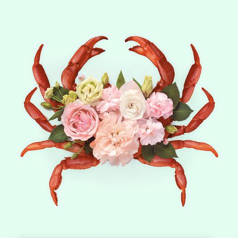 Crab Illustration, Paul Fuentes, Horoscope Art, Best Zodiac Sign, Snake Art, Astrology Horoscopes, World Photography, Photography Awards, Start Today