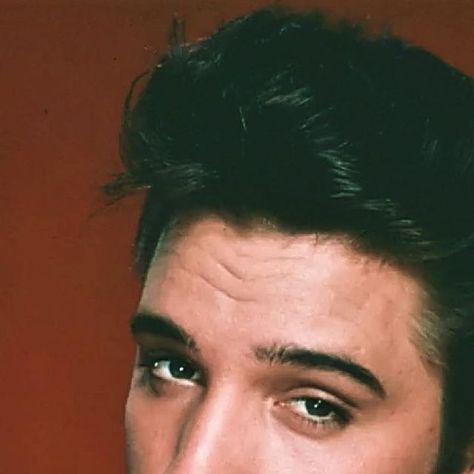 Kelsey on Instagram: "Forever obsessed with that curled lip. Jailhouse Rock promo’s. #elvis #elvispresley #elvisaaronpresley #tcb #elvispresleyfans #kingofrockandroll" Jailhouse Rock, December 30, Elvis Presley, Lips, Fan, On Instagram, Instagram