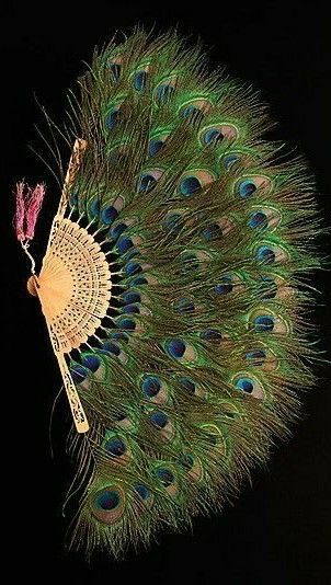 Peacock feather fan Peacock Feather Fan, Peacock Accessories, Peacock Crafts, Fan Image, African Inspired Decor, Fancy Fits, Vintage Fan, Antique Fans, Feather Fan