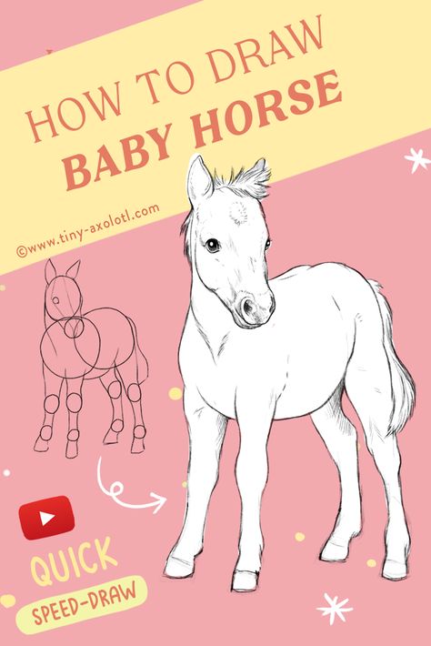 Horse Foal Drawing, Baby Horse Drawing, Foal Drawing, Cute Horse Quotes, Foals Playing, Start Sketching, Horse Reference, Baby Horse, Tiny Horses