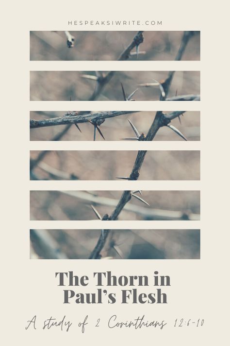 Have you stopped to think about Paul's thorn in the flesh in 2 Corinthians 12 and why he bothered to mention it? Read my latest blog post to find out more about the significance of Paul's thorn in the context of his ministry. Thorn In The Flesh, Psalm 116, Makes No Sense, Faith Blogs, The Flesh, Here On Earth, I Am Strong, Speak The Truth, Bible Lessons