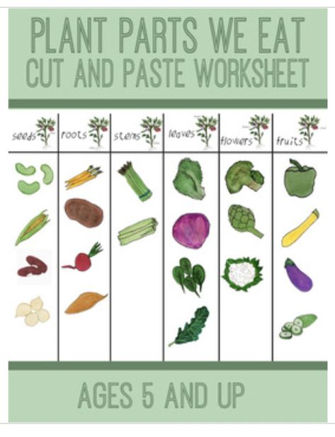 Edible Parts Of A Plant Activity, Science Plants, Plants Worksheets, Vegetable Drawing, Parts Of The Plant, Plant Parts, Plant Games, Cut And Paste Worksheets, Science Activity