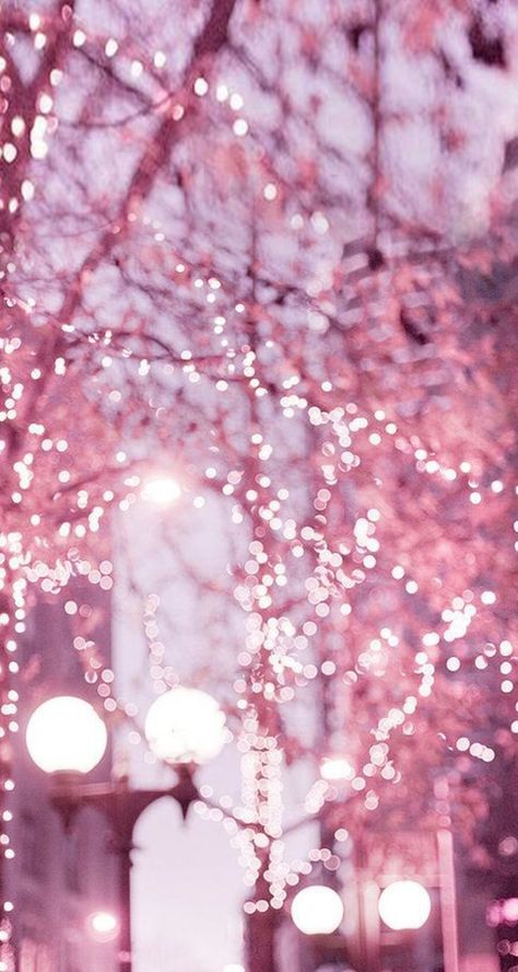 City Lights Photography, Tout Rose, I Believe In Pink, Wallpaper Tumblr, Street Lights, 背景 シンプル, Tickled Pink, Everything Pink, Jolie Photo