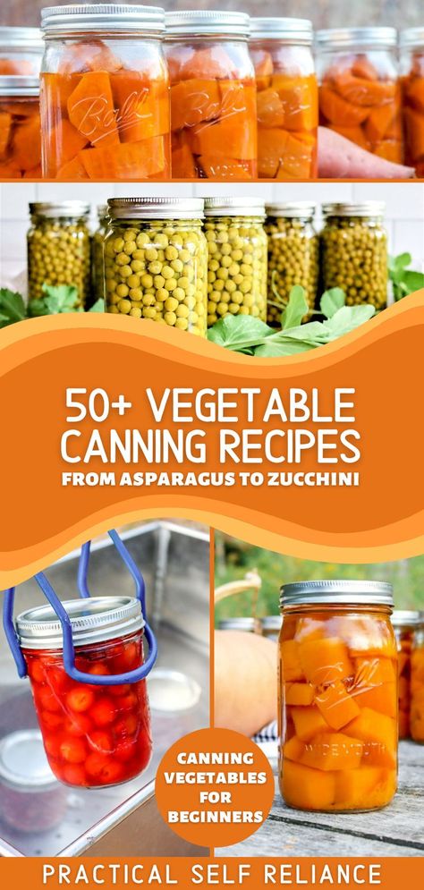 All kinds of ways to can vegetables. from pressure canning to water bath canning pumpkin. canning peas, and canning sweet potatoes Canning Peas, Water Bath Canning For Beginners, Canning Asparagus, Vegetable Canning, Canning Zucchini, Canning For Beginners, Water Bath Canning Recipes, Diy Canning, Easy Canning