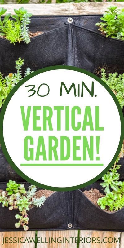 Yard Gazebo, Diy Vertical Garden, Indoor Plants Diy, Garden Vertical, Vertical Garden Planters, Pocket Garden, Grow Herbs, Vertical Garden Wall, Vertical Garden Diy