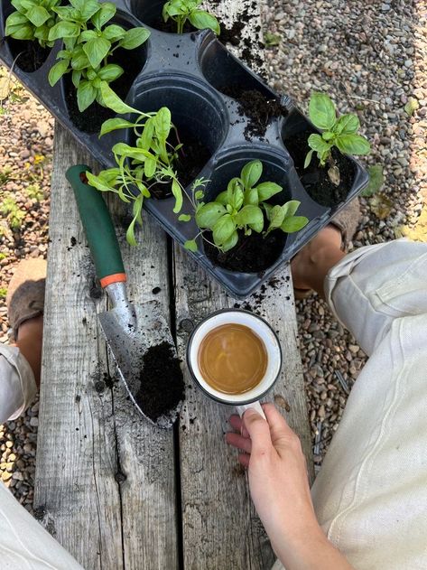 Coffee In Garden Aesthetic, Plant Aesthetic, Plant Mom, Slow Living, Simple Living, Meal Planner, Farm Life, Green Thumb, Vegetable Garden