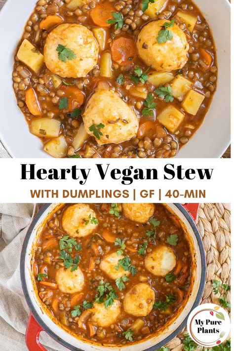 Vegetarian Dumpling Soup, Stew With Dumplings, Veg Stew, Vegetarian Dumpling, Fluffy Dumplings, Healthy Stew, Vegetarian Stew, Vegan Dumplings, Stew And Dumplings