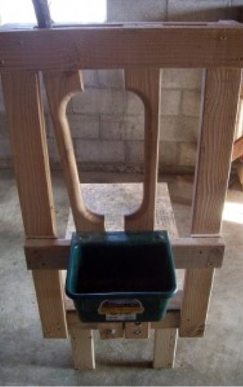 Goat milking stand. http://www.theprairiehomestead.com/2011/04/building-a-goat-milking-stand.html Milking Stanchion, Goat Stand, Homesteading Tools, Goat Milking Stand, Farmers Life, Cow Milking, The Prairie Homestead, Milk Cows, Goat Shelter