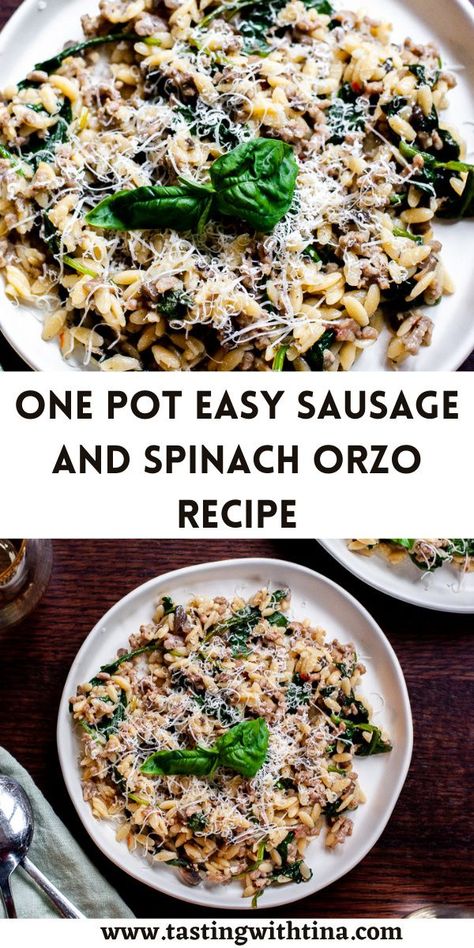 Meals To Make With Chicken, Spinach Orzo, Sausage And Spinach, Pork Pasta, Orzo Recipe, Sausage Dishes, Orzo Recipes, Pot Recipes Easy, Sweet Italian Sausage