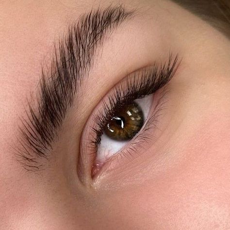 Soft Cat Eye Lashes, Natural Fake Eyelashes, Lashes Fake Eyelashes, Lash Designer, Cat Eye Lash, Perfect Eyelashes, Natural Eyelash Extensions, Eyelash Extentions, Fancy Makeup