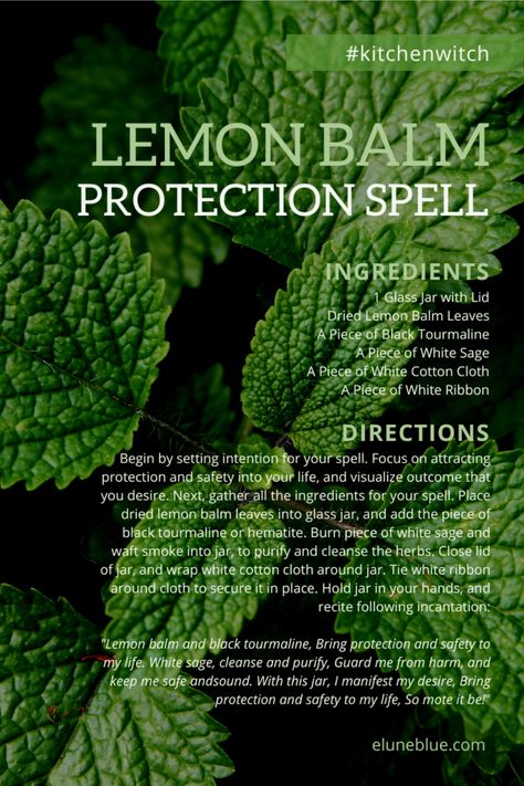 A lemon balm protection spell. Spells And Rituals, Wild Foraging, Herb Jar, Protection Spell, Dried Lemon, Glass Jars With Lids, Protection Spells, Lemon Balm, Kitchen Witch