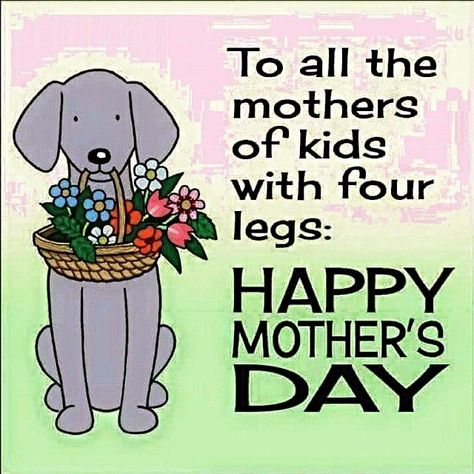 2nd Saturday in May #NationalDogMomsDay Mother's Day Crafts For Kids, Happy Mothers Day Pictures, Dog Mom Quotes, Happy Mom Day, Dog Mothers Day, Happy Mothers Day Wishes, Happy Mother Day Quotes, Mother's Day Crafts, Mother Day Wishes