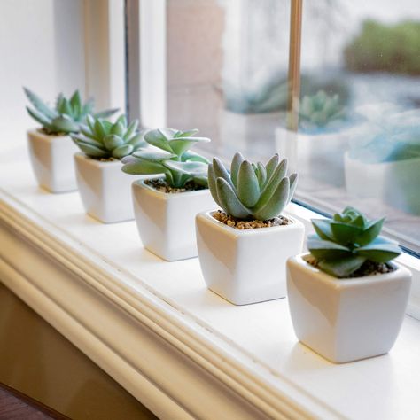 Small Window Sill Plants, Tiny Fake Plants, Small Fake Plants Decor, Fake Plants Pink, Succulents On Window Sill, Small Plants Aesthetic, Small Window Sill Decor, Fake Plants Aesthetic, Bathroom Window Sill Decor