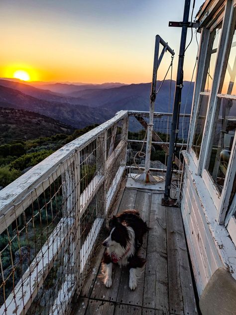 Experience a Retired Fire Watch Tower — Ginger Finding Roots Fire Watch Tower Interior, Fire Watch Aesthetic, Firewatch Aesthetic, Fire Watch Tower, Firewatch Tower, Fire Lookout Tower, Apocalypse Stuff, Small Town Mystery, Fire Watch