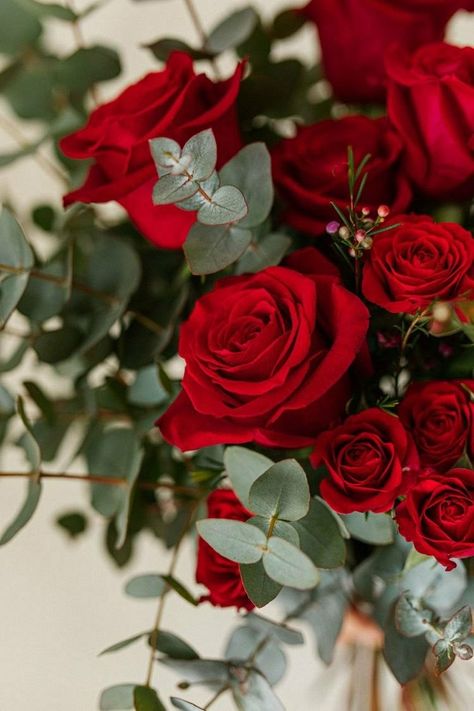 Received Flowers, Morning Rose, Iphone Wallpaper Landscape, Classic Flower, Red Rose Bouquet, Beautiful Flower Designs, Forever Rose, Red Rose Flower, Nothing But Flowers