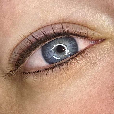 Permanent Eyeliner Blue Eyes, Permanent Eyeliner Natural, Permanent Brown Eyeliner, Permanent Eyeliner Bottom Only, Permanent Eyeliner Styles Tattoo, Permanent Eyeliner Styles Natural, Permanent Eye Makeup, Brown Permanent Eyeliner, Ombre Eyeliner Tattoo