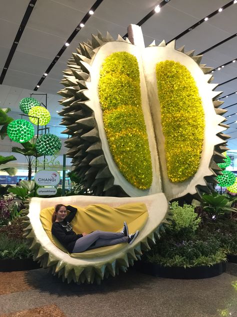 Giant Durian Fruit Installation, Ugly Kitchen, Selfie Wall, Fruit Shop, Giant Food, Fruit Garden, Booth Design, Public Art, Window Display