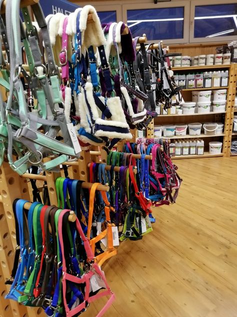 Horse Tack Rooms, Hunter Jumper Horses, Diy Horse Barn, Horse Room, Funny Horse Videos, Dream Horse Barns, Horse Riding Outfit, Horse Shop, Equestrian Aesthetic