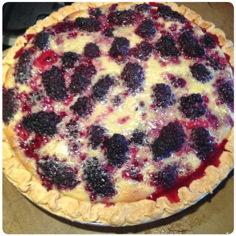 Blackberry Custard Pie Blackberry Custard, Raspberry Cream Pie, Raspberry Cream Pies, Blackberry Dessert, Custard Pie Recipe, Blackberry Pie, Blackberry Recipes, Vegan Meat, Raspberry Cream