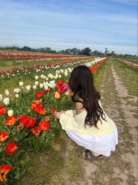 Pose In Flower Field, Tulip Field Picture Ideas, Tulip Field Poses, Tulip Feild Pics, Peony Field Photoshoot, Flower Field Instagram Pictures, Tulip Field Pictures, Tulip Field Outfit Ideas, Flower Field Outfit Ideas